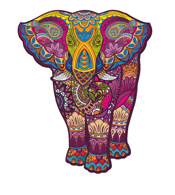 Colorful Jigsaw Wooden Puzzles